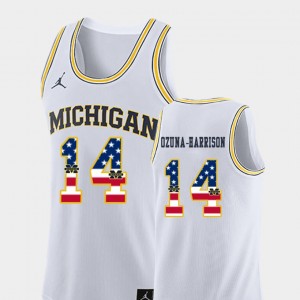 White USA Flag College Basketball Rico Ozuna-Harrison Michigan Jersey For Men's #14 676012-404