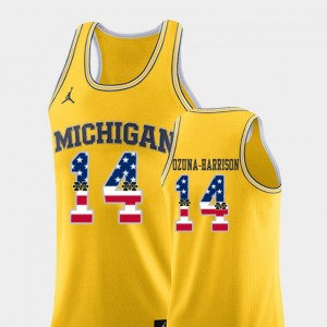 Rico Ozuna-Harrison Michigan Jersey College Basketball #14 USA Flag Men's Yellow 329437-157