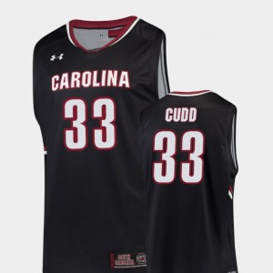 Replica Jason Cudd South Carolina Jersey Black Men College Basketball #33 221593-556