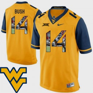 For Men's Tevin Bush WVU Jersey #14 Pictorial Fashion Gold Football 315152-508