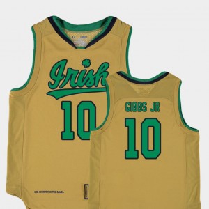 Replica College Basketball Special Games TJ Gibbs Jr. Notre Dame Jersey #10 For Kids Gold 176210-828